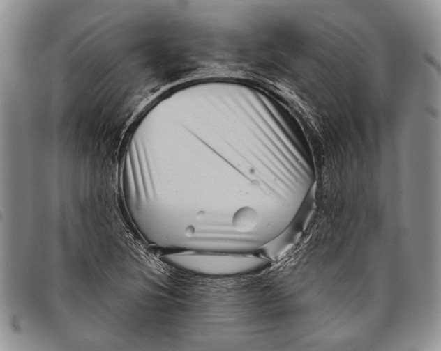 X0000097971220200804141043
