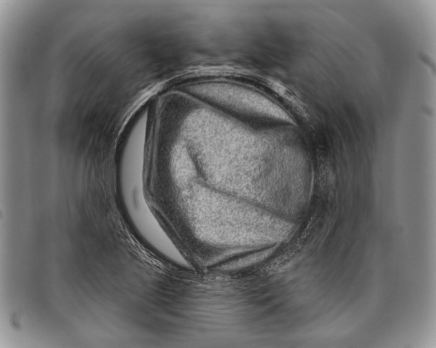 X0000097971221200804141044