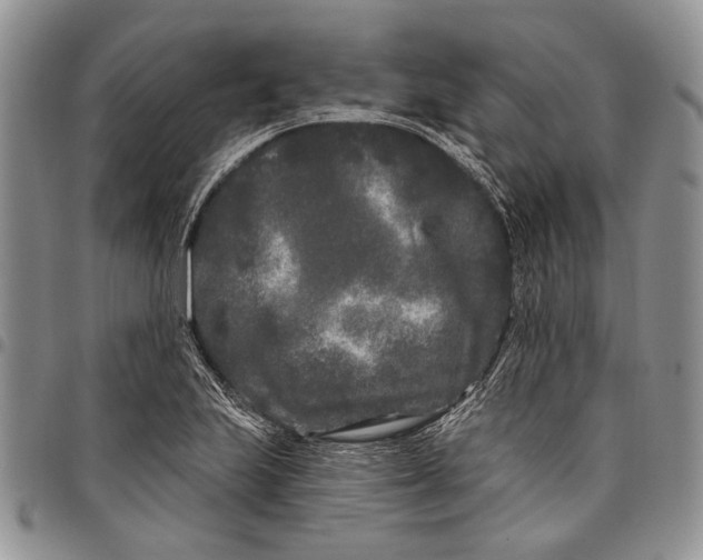 X0000097971223200804141044