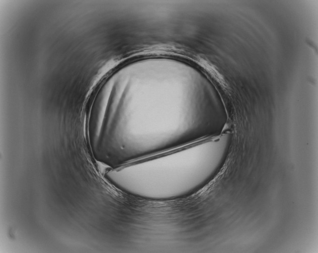 X0000097971224200804141044