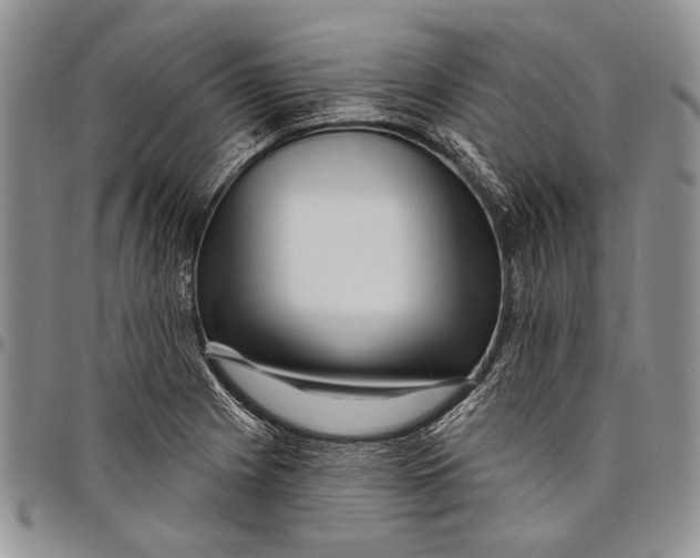 X0000097971225200804141044