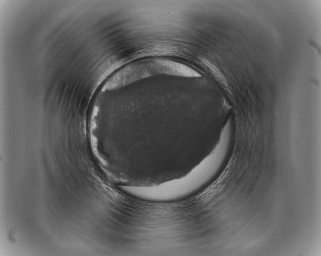 X0000097971226200804141044
