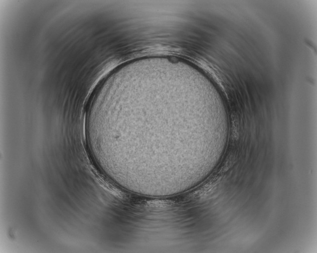 X0000097971227200804141044