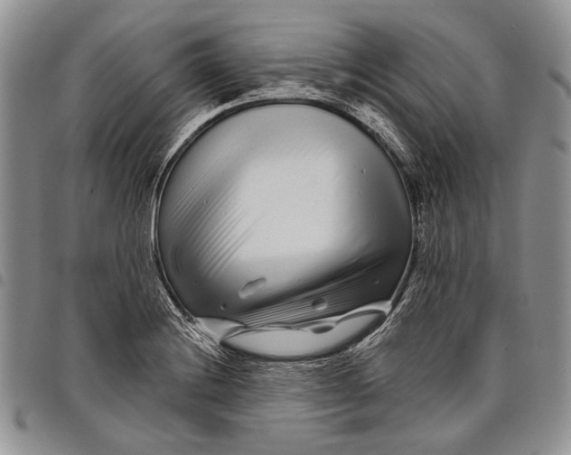 X0000097971228200804141044
