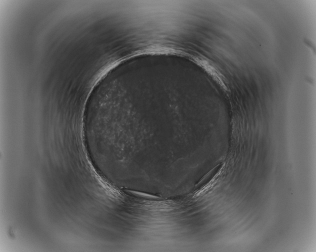 X0000097971229200804141044