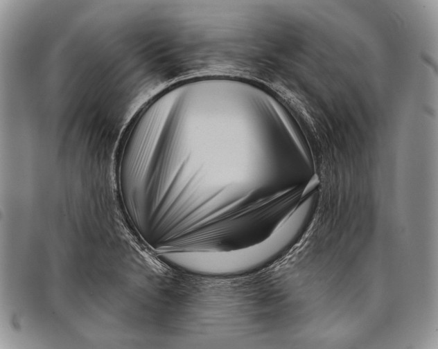 X0000097971230200804141044