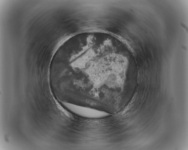 X0000097971231200804141044