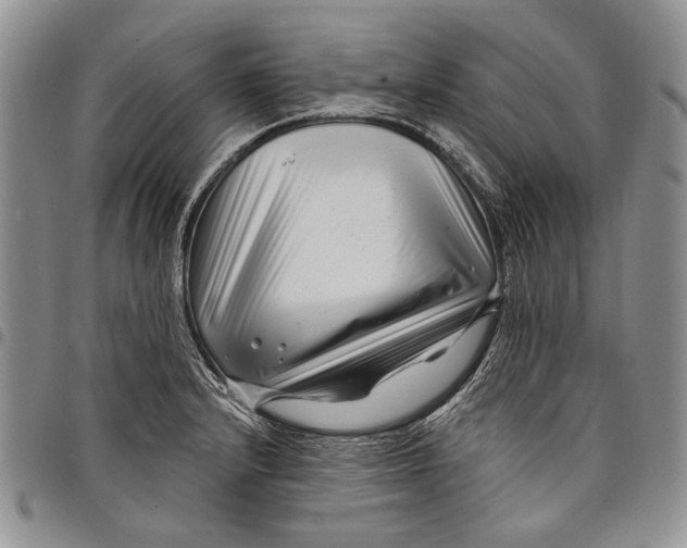 X0000097971232200804141044