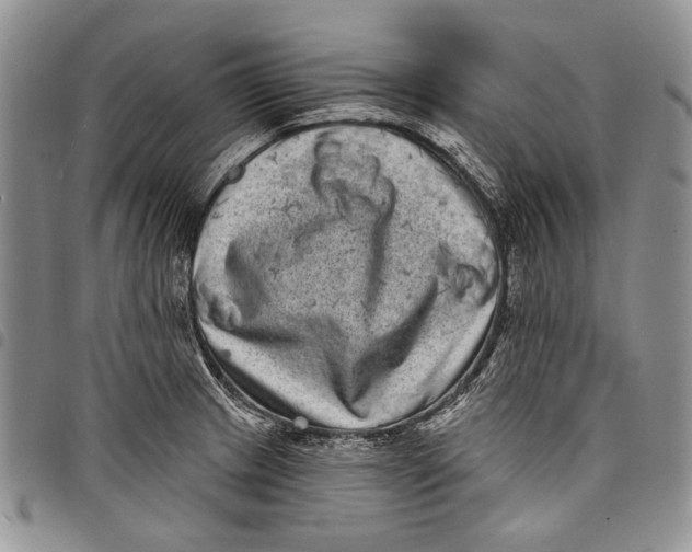 X0000097971233200804141044