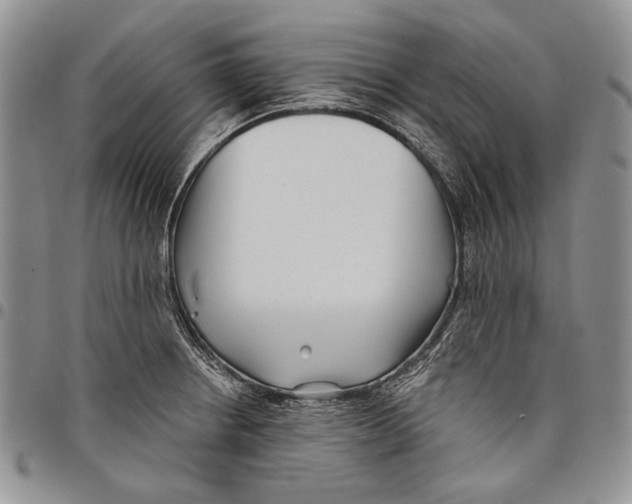X0000097971234200804141044