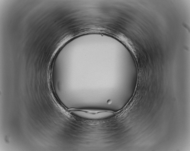 X0000097971235200804141044