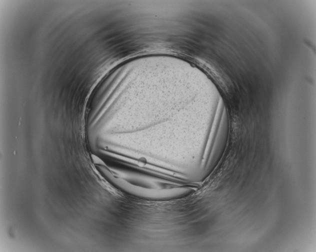 X0000097971236200804141044