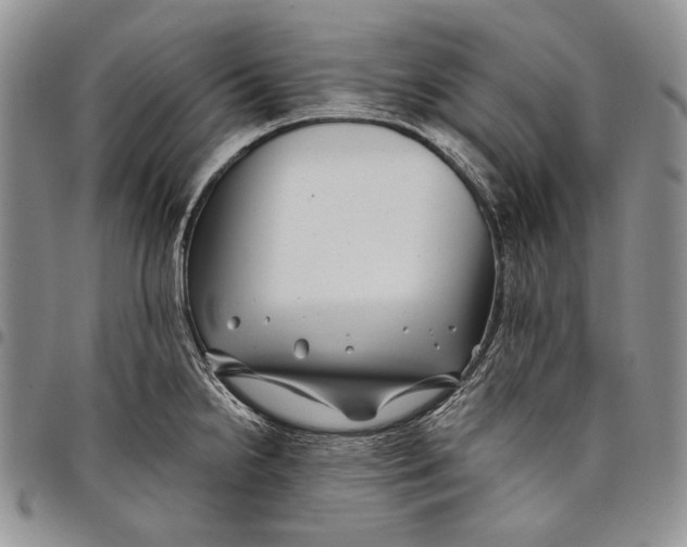 X0000097971238200804141044