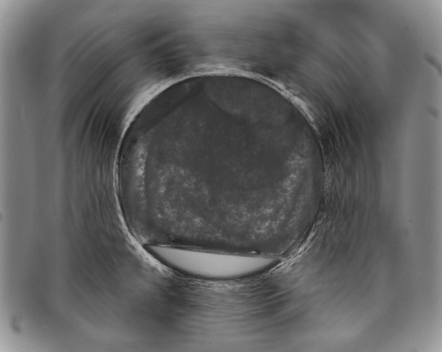 X0000097971239200804141044
