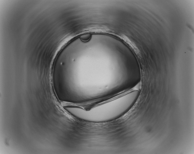 X0000097971240200804141044