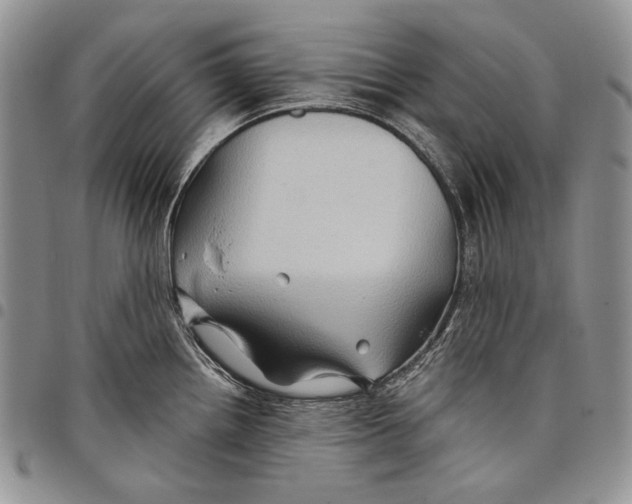 X0000097971242200804141044