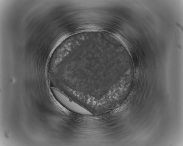 X0000097971243200804141044