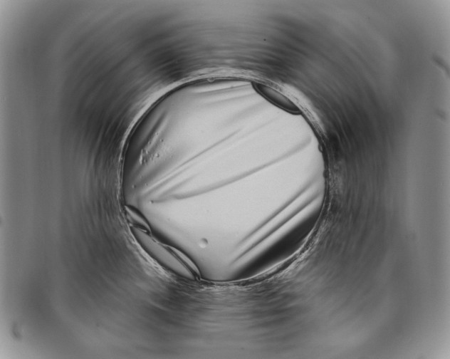 X0000097971244200804141044