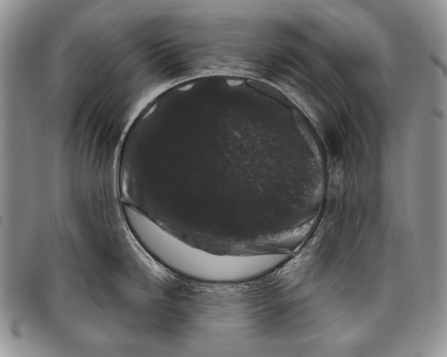 X0000097971246200804141044