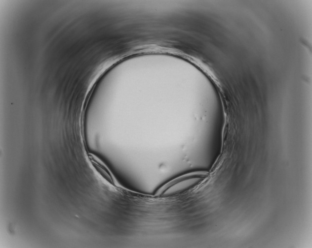 X0000097971247200804141044