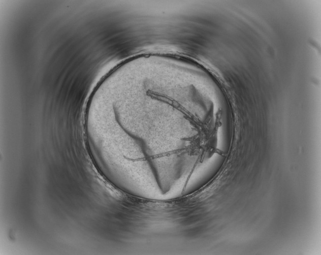 X0000097971248200804141044