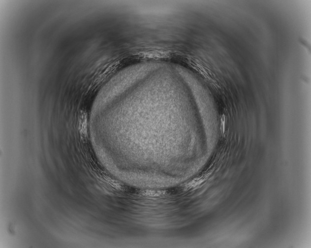 X0000097971251200804141043