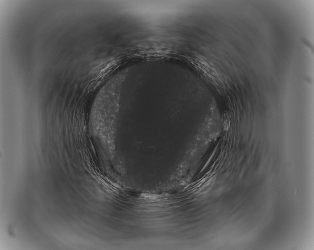 X0000097971252200804141043