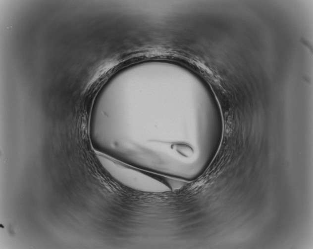 X0000097971255200804141043