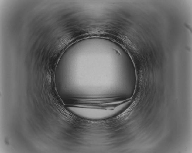 X0000097971257200804141043
