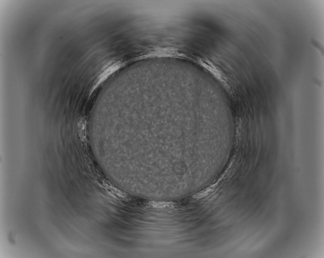 X0000097971258200804141043