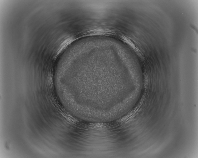 X0000097971259200804141043