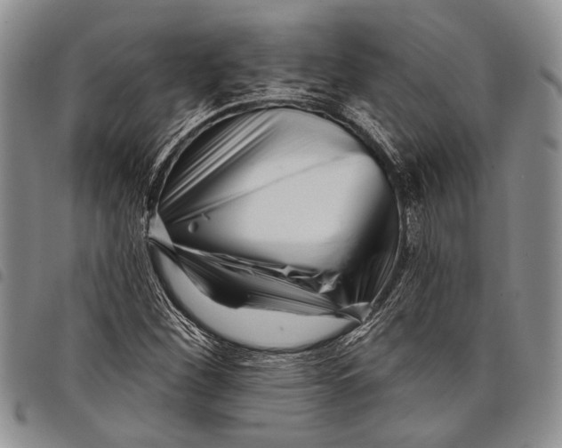 X0000097971260200804141043