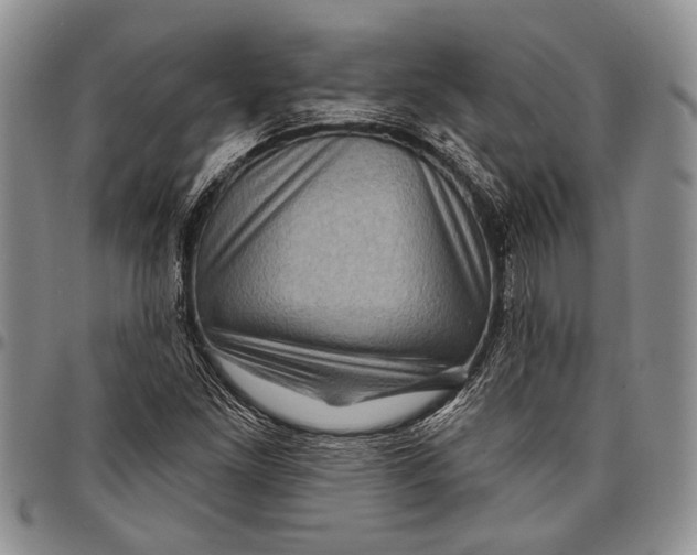 X0000097971261200804141043