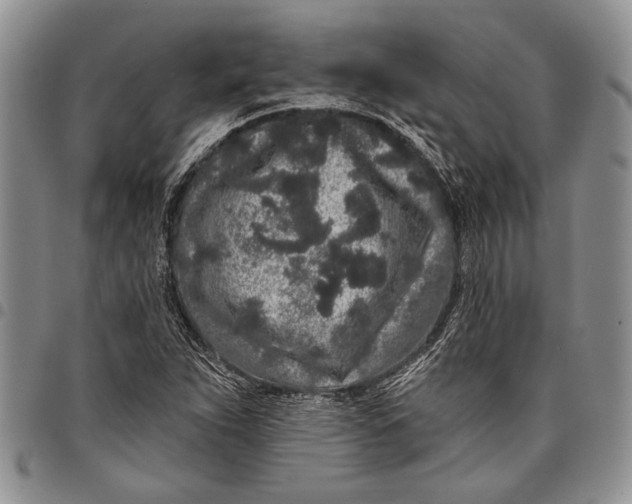 X0000097971263200804141043