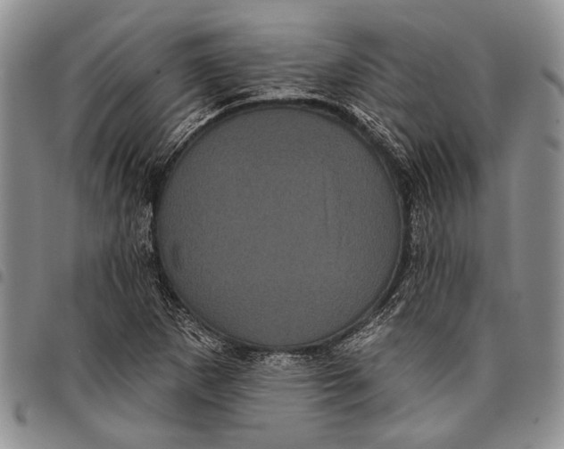X0000097971265200804141043