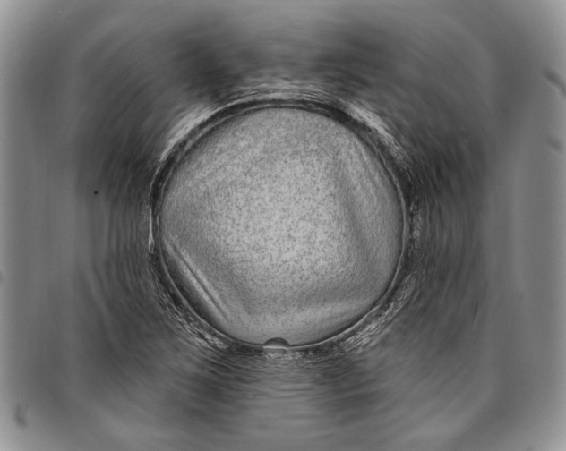X0000097971267200804141043