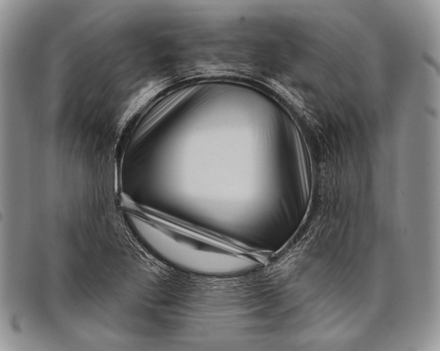 X0000097971269200804141043