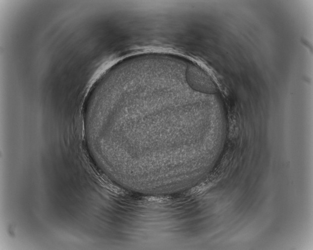 X0000097971271200804141043