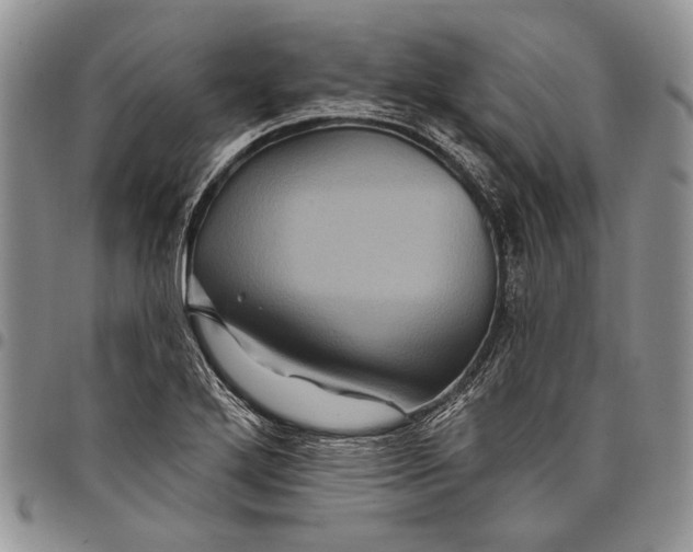 X0000097971272200804141043
