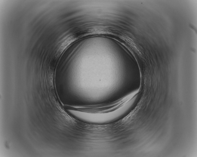 X0000097971273200804141043