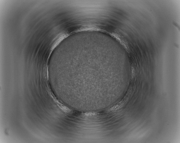 X0000097971274200804141043