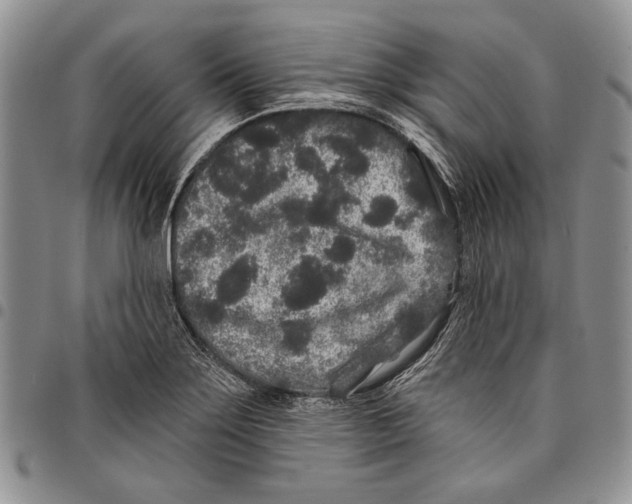 X0000097971275200804141043