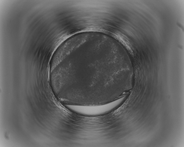 X0000097971276200804141043