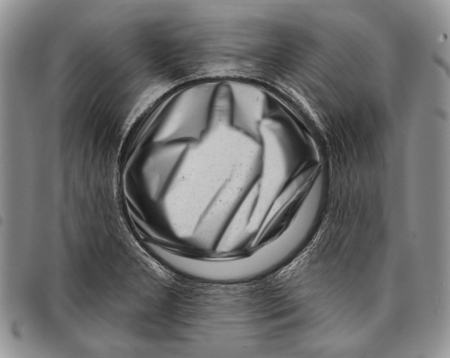 X0000097971277200804141043