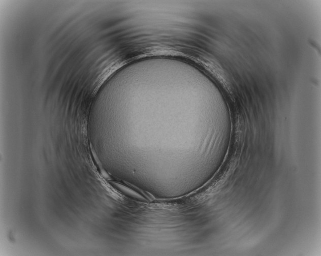 X0000097971281200804141042
