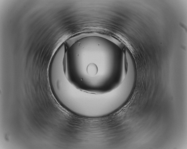 X0000097971283200804141042