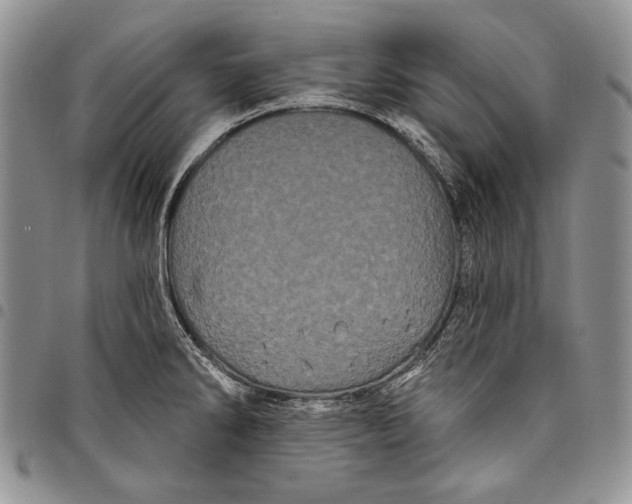 X0000097971286200804141042
