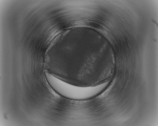 X0000097971289200804141042