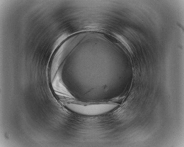 X0000097971291200804141042