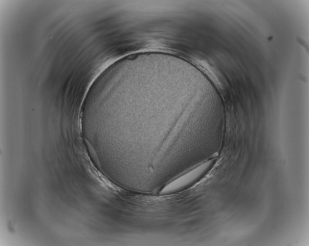 X0000097971292200804141042